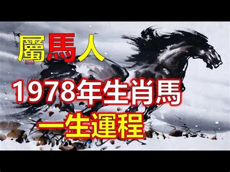 1978 馬 五行|屬馬人必看：1978命格